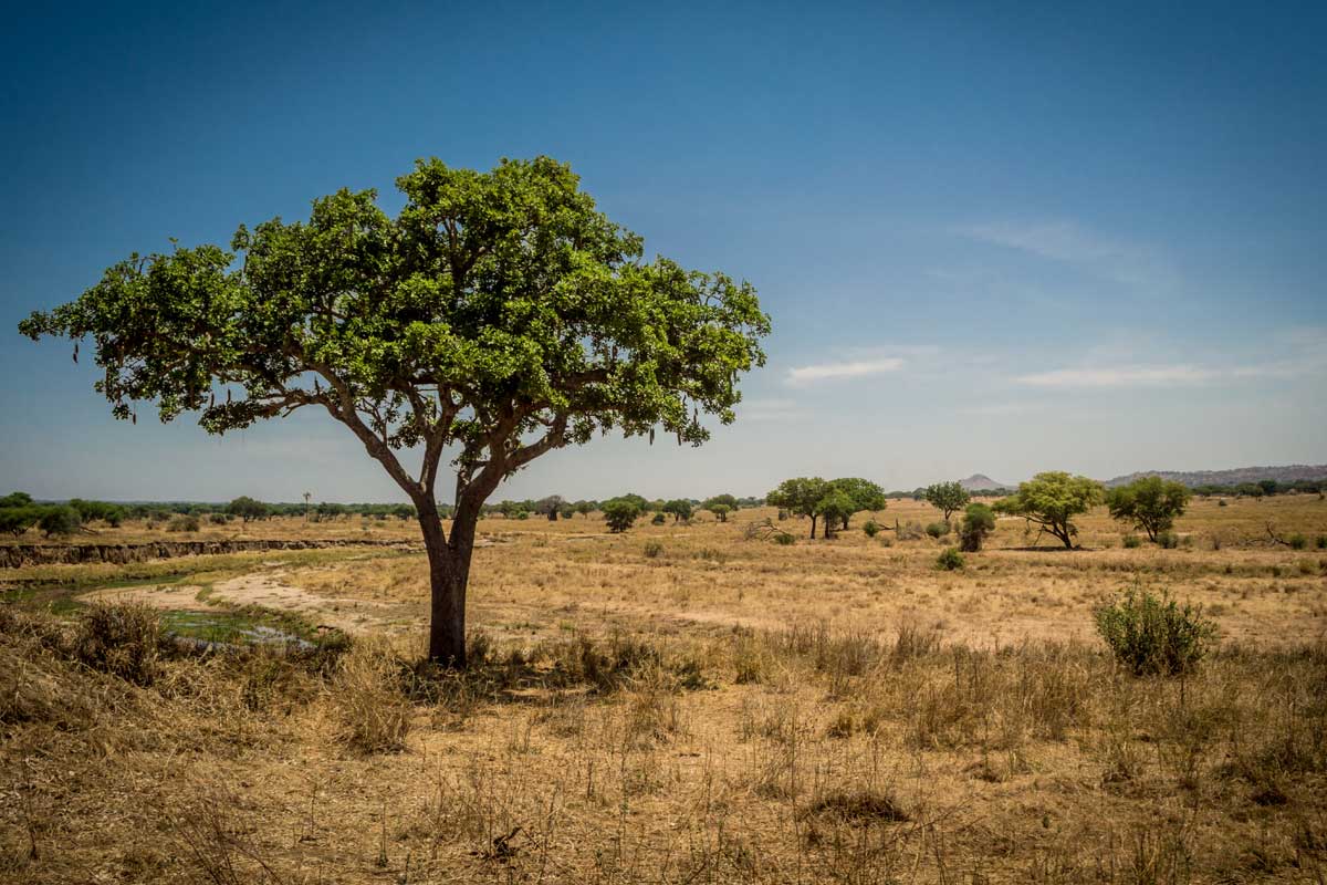 Wasser für Afrika