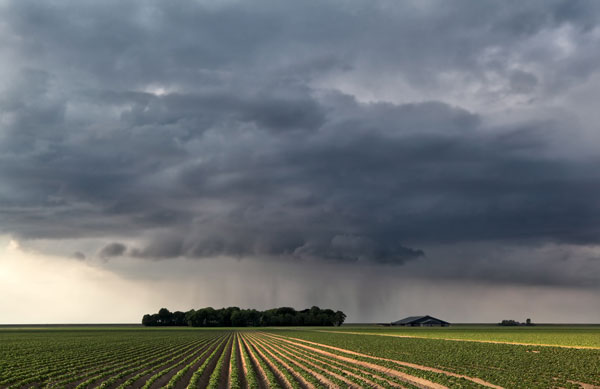 Moodbild - Regen