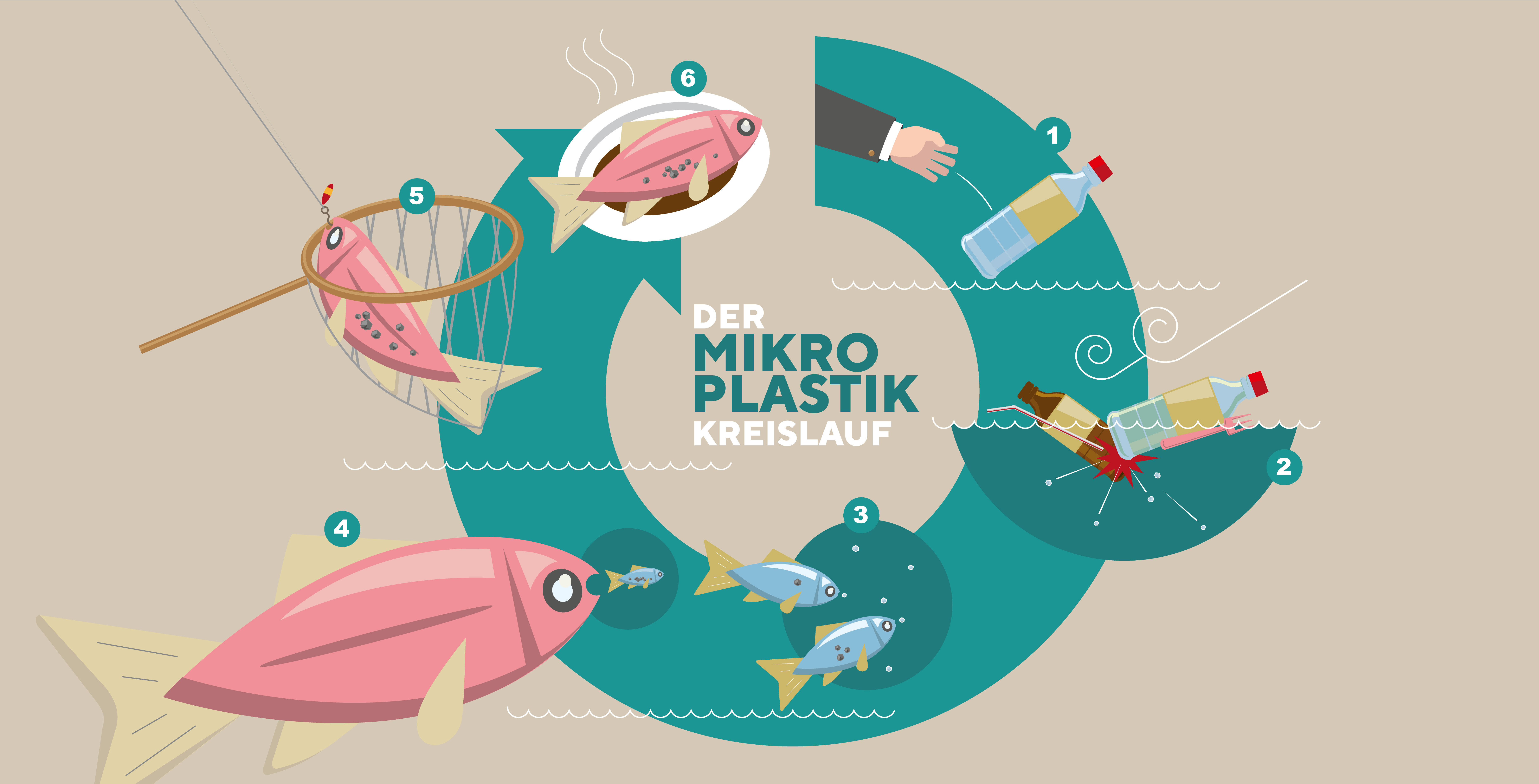 Mikroplastik Kreislauf