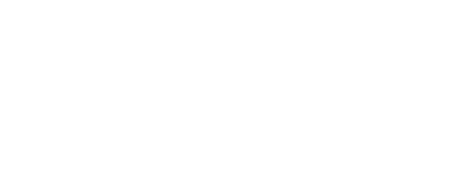 Icon Zukunftssicher