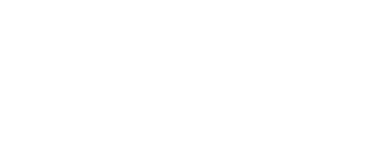Icon Systemrelevant